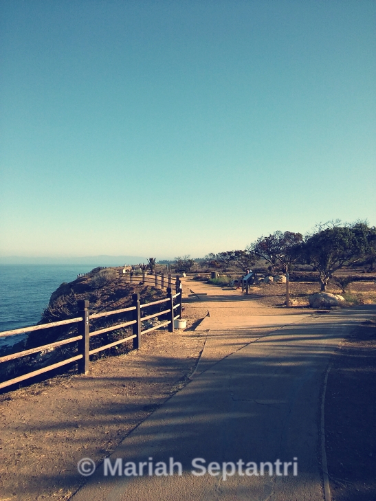 point-vicente-trail1